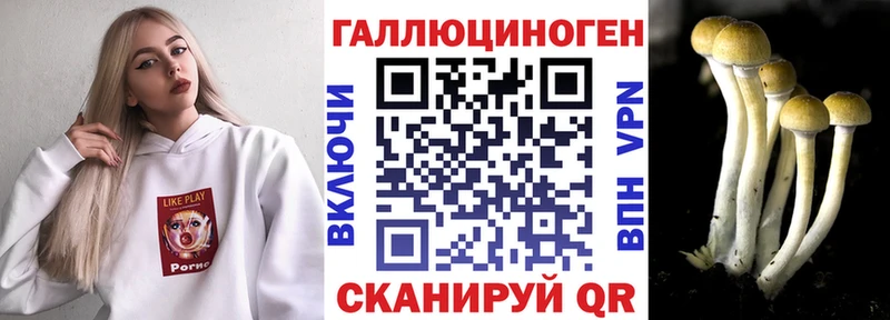 как найти наркотики  Алушта  Псилоцибиновые грибы Cubensis 